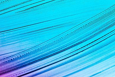 《上古卷轴5：特别版》Steam特惠促销 仅售33元